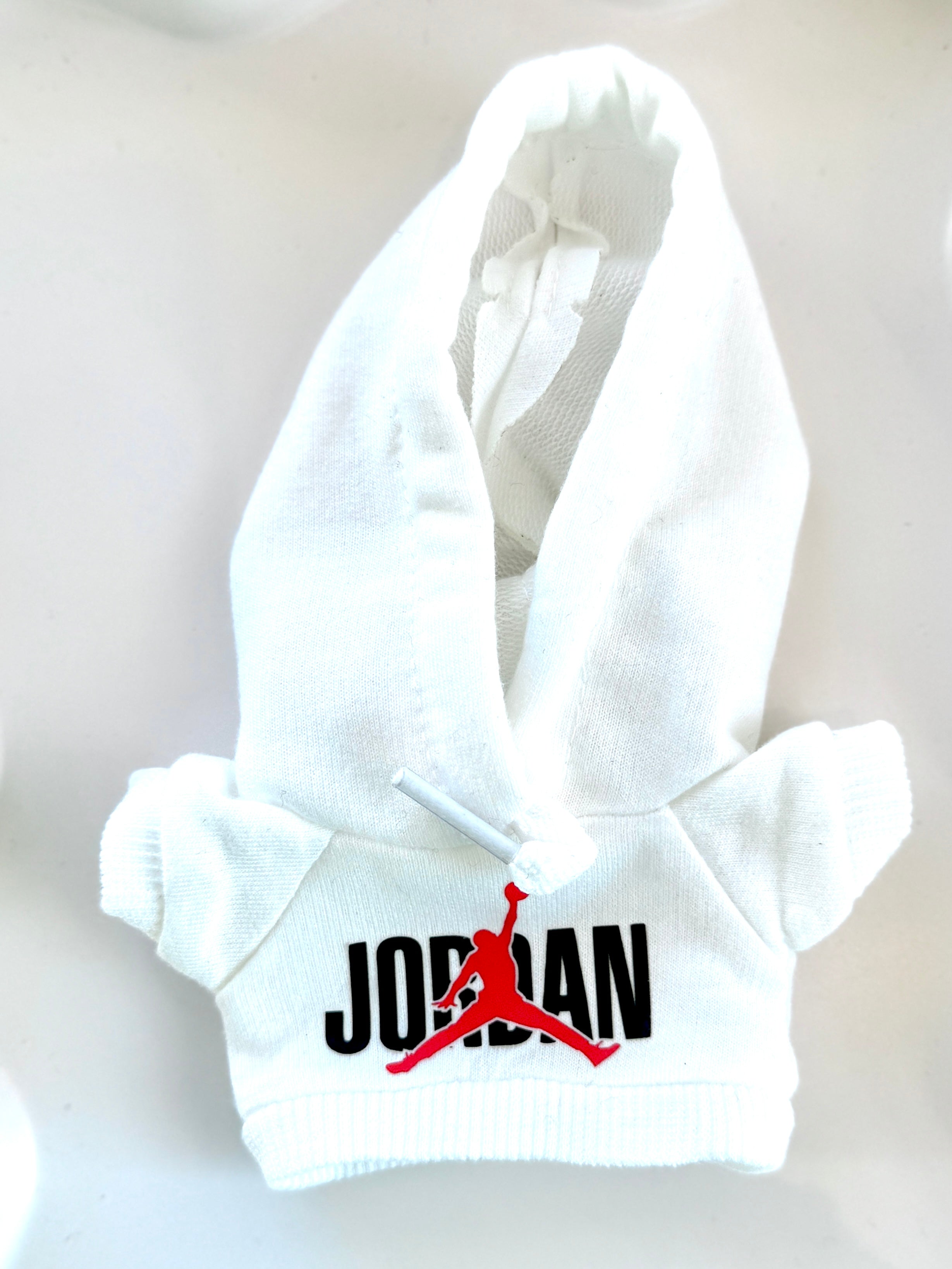 Jordan inspired Nike Hoodie (Copy)